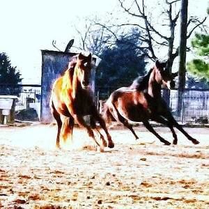 Meet your Posher, Rodney